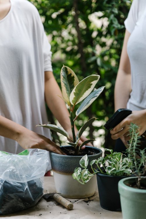 pomoč pri vsakdanjih opravilih
